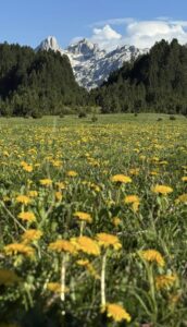 Prenj-Otiš and Zelena glava